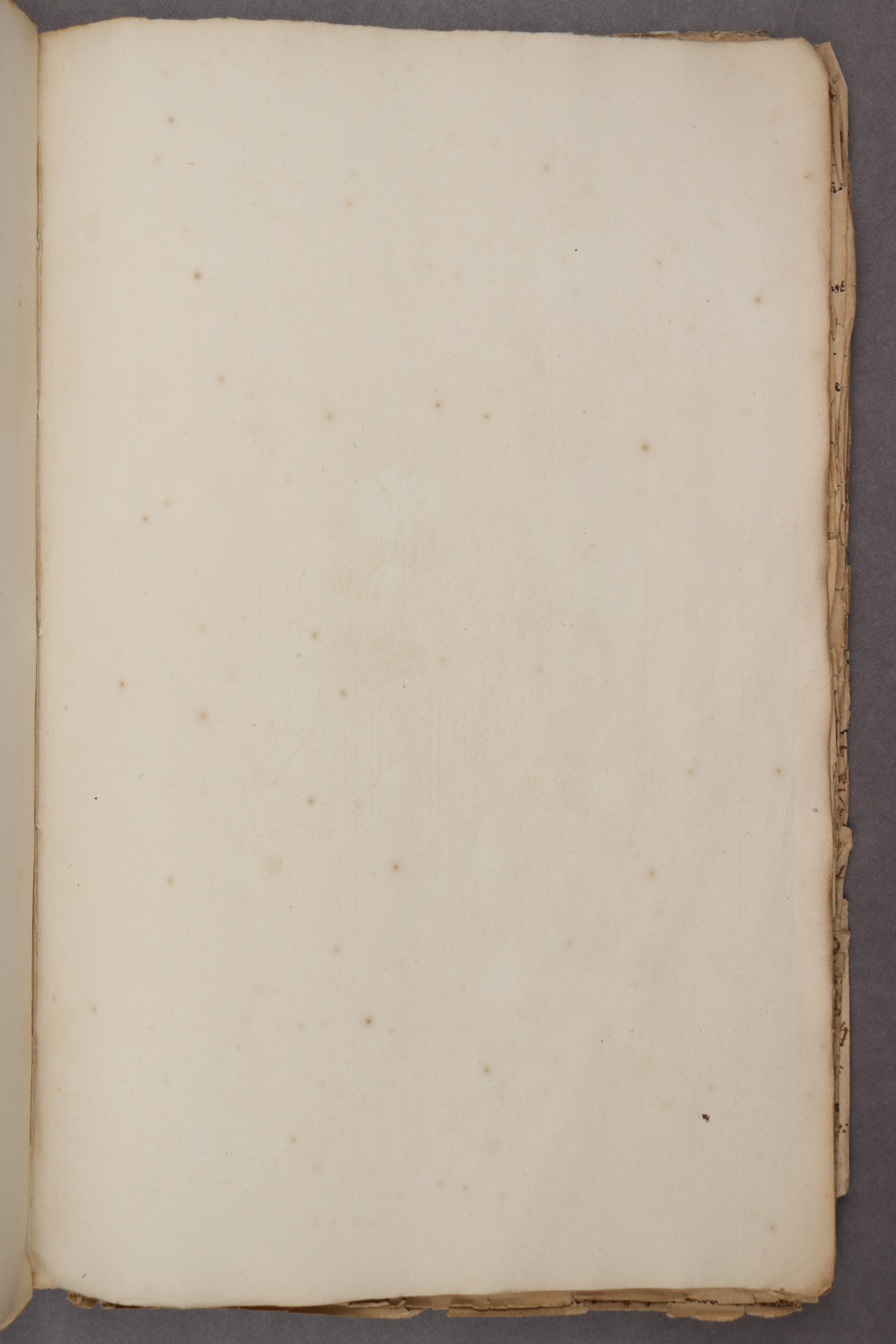 37 recto
